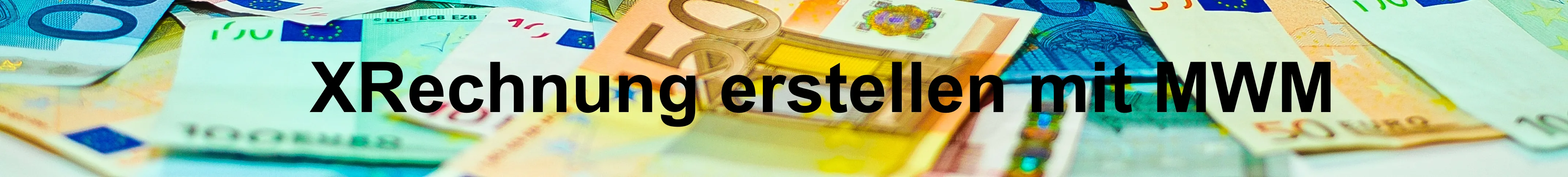 kostenloses Seminar XRechnung erstellen mit MWM-Libero